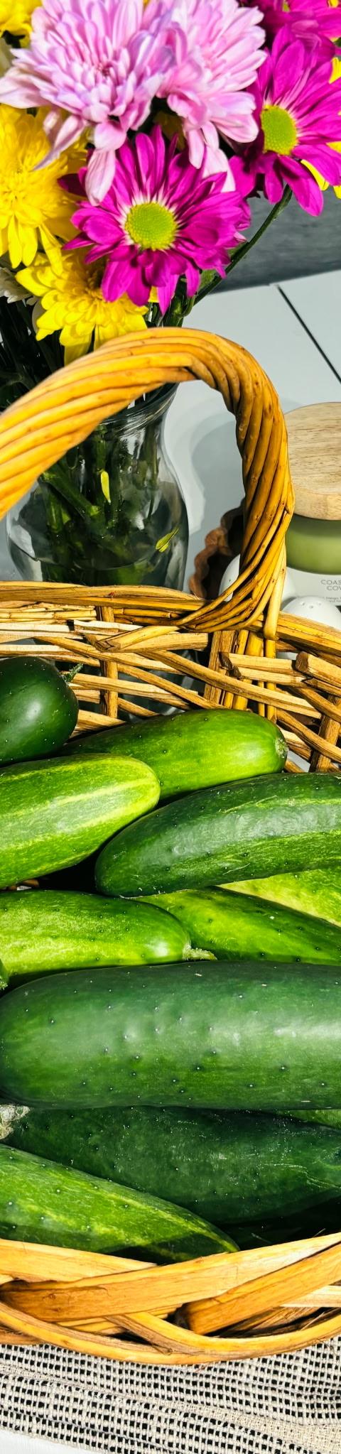 Fresh Marketmore Cucumbers