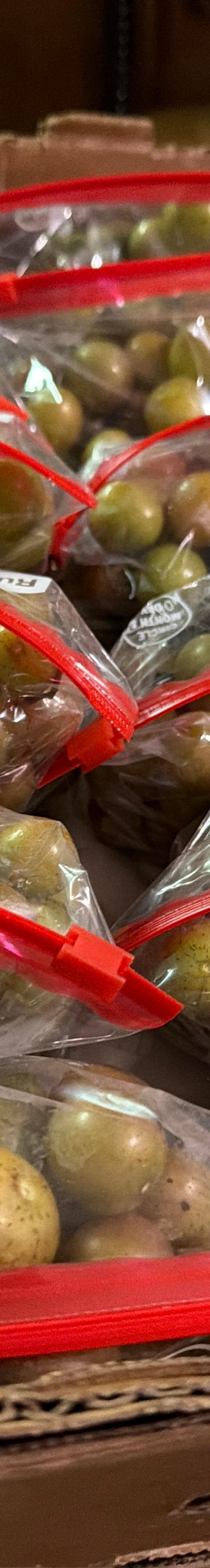 Muscadine Grapes 