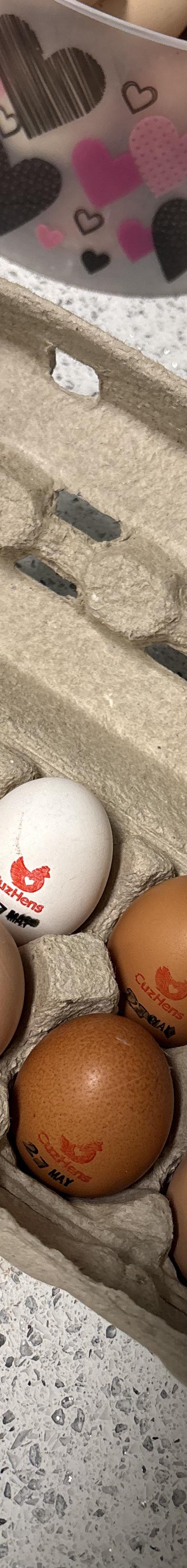 Pasture-Laid Eggs